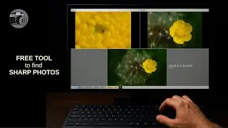 A free PHOTO VIEWER (Tom-Viewer) - use it to find the SHARPEST PHOTOS! #tom_viewer