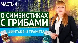 Родник здоровья | О Симбиотиках с грибами. Часть 4. Шиитаке и Трамета
