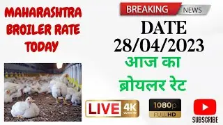 28/04/2023 broiler rate today, chick's rare today, maharashtra broiler rare today, #indpoultry