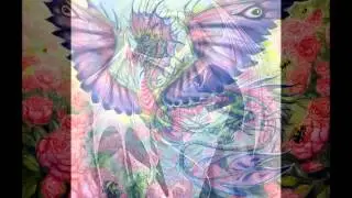 Faerieland - Dragon ride to the Elven Kingdom
