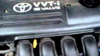 MOV00118