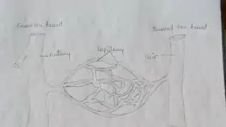 Easy structure of capillary