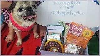 The Dapper Dog Box Unboxing
