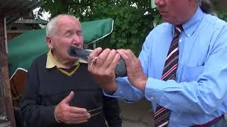 Pali b&aacute;csi teny&eacute;sz madarai