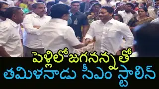 Tamilnadu CM Stalin Meets YS Jagan At Chennai Marriage | Jagan Chennai | Mana Aksharam