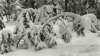 ⛦ ansel adams &mdash; master photographer. (INTENSELY POWERFUL & IMMEDIATE) (LISTEN 1X MAX) ⛦