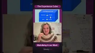 A short keeper from WELL-BEING IN OUR WORK: The Experience Cube