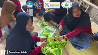 PKM Teknologi Hidroponik untuk kemandirian pangan dan ekonomi KWT Mutiara