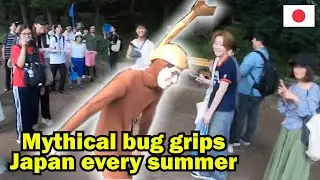 Japan is OBSESSED with a bug nobody can find