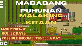 YEMA FARM NEW P2E/NFT | STABLE COIN BASE | 32 DAYS ROI |