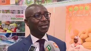 OUVERTURE DE LA FOIRE INTRA AFRICAINE DU COMMERCE ET VISITE DU VPR DANS LES STANDS