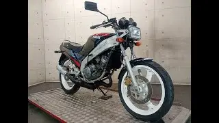 65589 TZR125