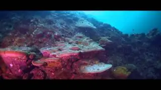 Pulau Perak Expedition