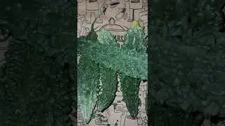 Wild Bitter Gourd Juice Recipe Fry WeightLoss Healthy AntiAgeing Antioxidant Benefits#bittergourd#yt