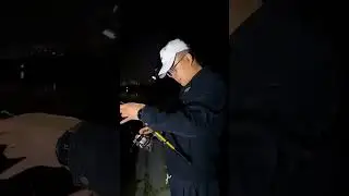 Three-eyed monster mini flashlight