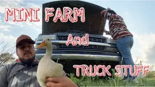 Swap Meet Birds // Sierra Front End Conversion (PT1)