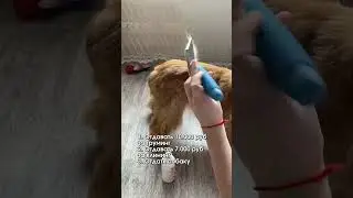 Делимся артикулом WB:271212408 Груминг-спрей