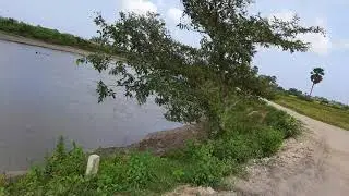 BEAUIFUL NATURE&nbsp;RIDE MUDDY RIVER AND RICE PADDY FIELDS  | NATURE DRIVE INN 4K VIDEO