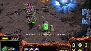 StarCraft: Brood War - Zerg Campaign: The Queen of Blades - 9. The Reckoning