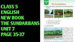 Class 5 English New Book 2026 | Unit 7 - Sundarbans | Page 35-37 | #class5englishnewbook