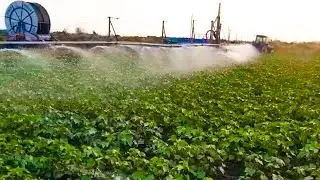 Sezer Pamuk Sulama Tamburlu Sulama | Cotton Irrigation - Hose Reel | Syst&egrave;me d'irrigation Cultures