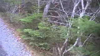 Exploring the Newfoundland railway Episode #108  PART-2