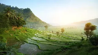 Relaxing Music - Nature Guitar Ambience Music