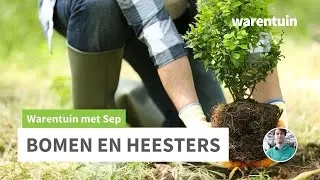 Bomen en Heesters in de grond zetten