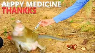 GREAT JOB...THANKFULLY FROM BOTTOM HEART TO CAMERAMAN TO RESCUE POOR BRINN FROM INFECTED WOUND.