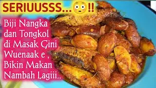 Viraal...! Biji Nangka dan Tongkol di Masak Gini Enaknya Bikin Makan Nambah Lagi. 