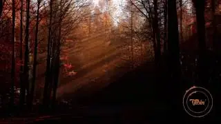 atreetalking - { P e r c e p t i o n }