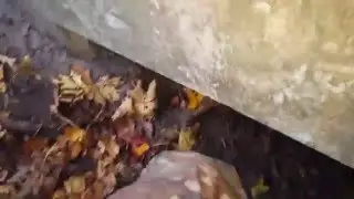 WW2 Bunker found. The bunkerhunter series
