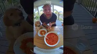 Jake Paul and Puppy eat spicy noodles #jakepaul #puppy #dog #brainrot #ai #aivideo