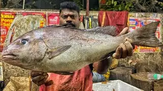 KASIMEDU🔥 SPEED SELVAM | HUGE UDHADI FISH CUTTING VIDEO | 4K VIDEO | KM FISH CUTTING