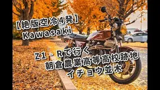 2024年【絶版空冷四発】KAWASAKI Ｚ1‐Ｒで行く英彦山からの朝倉農業高等高校跡地のイチョウ並木