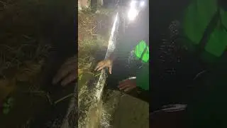 save flood street remove leaf clog drain #culverts #unclog #drain #shorts #unclogging #satisfying