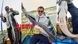ស្ទូចបានមែនរឺទិញត្រីគេ?#fishing #boating #fish