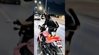 Ride remix 2 #frankcisco #youtube #funny #video #dog #song #music