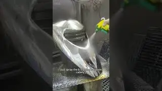 Spray plating tutorial/Silver mirror reaction