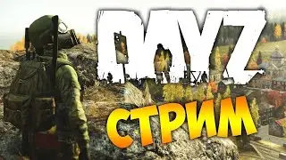 DayZZZZ)
