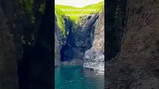 Русский Остров - Монерон      🌿☘️🌳🌴🪸Russian Island-MONERON #animal #island  #russia #beautiful