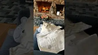 Cozy Sunday vibes