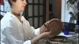 Gail Larned part 1 enchanted flora