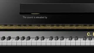 C. Bechstein Residence R 4 Classic | Piano Vertical Premium