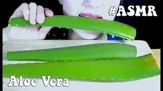 ASMR ALOE VERA CHALLENGE (Soft Sticky, Crunchy SOUNDS) NO TALKING | MISS PHAM ASMR