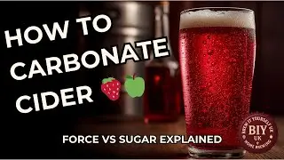 How to Carbonate Cider: Force Carbonation vs Sugar Carbonation (Which Is Better?)