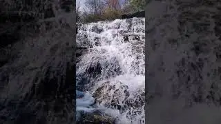 Waterfall at Graveyard Fields NC