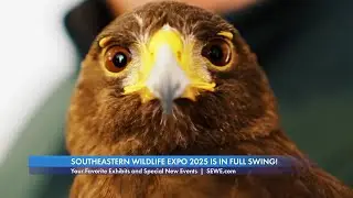 Southeastern Wildlife Expo 2025 is in Full-Swing!
