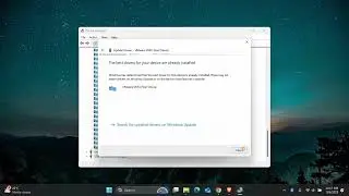 How To Fix Windows Is still Setting up the Class Configuration for this Device Code 56 - Quick Help