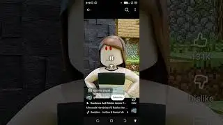 Minecraft village attack